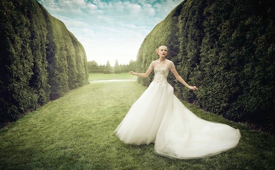 fairly tale and wedding dress