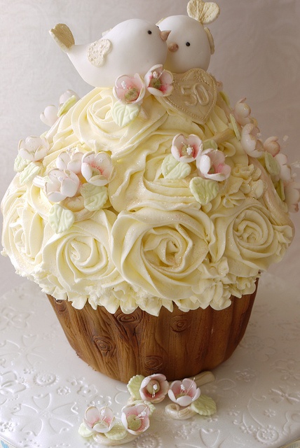 yummy, bird and rose