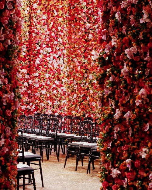 roses, interior, interiors and interior design