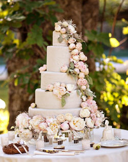 wedding cake, pale and wedding party