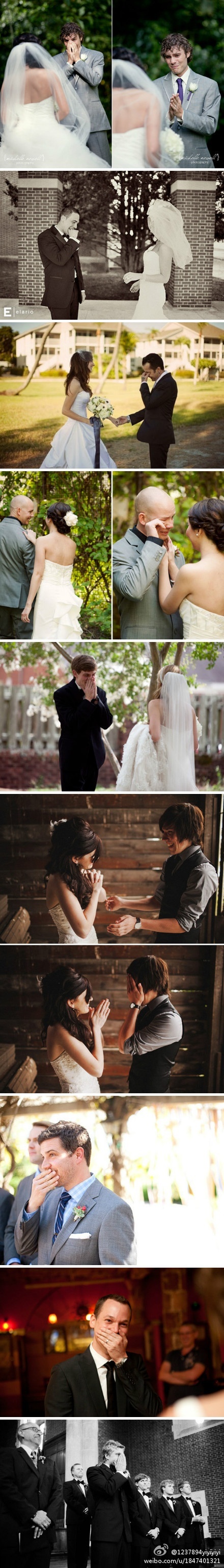 groom, bride and groom and adorable