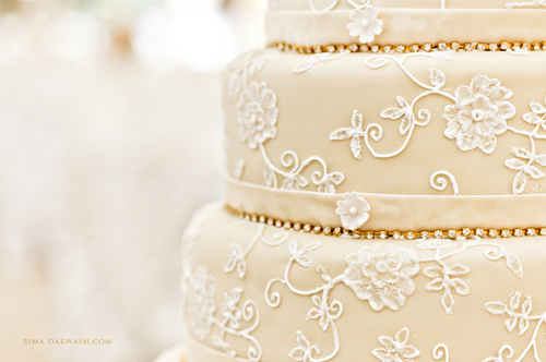 amazing, roses and bridal