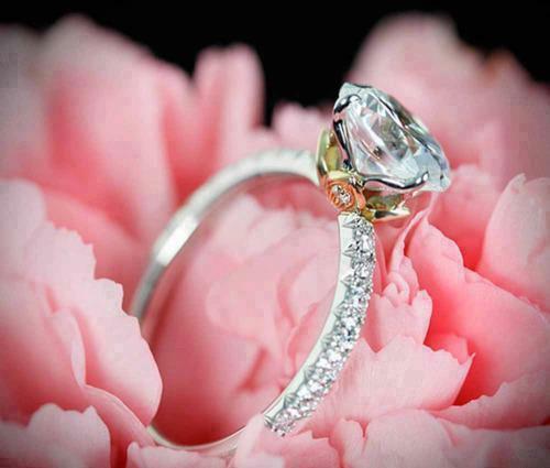 engagement, beautiful and bridge