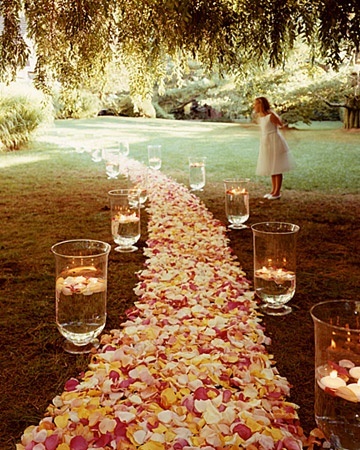 white, pink and trees