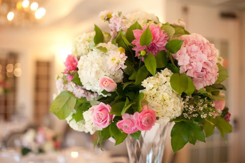 vase, photo and photography