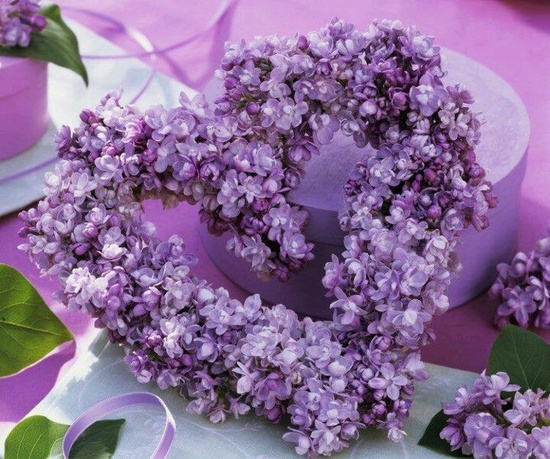 purple, flowers, nature and wreath