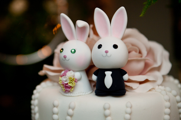 rabit, cute and love