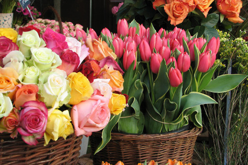 yellow, peach and roses