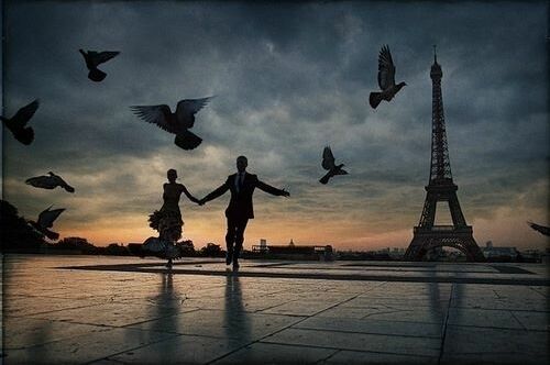in love, fly and sunset