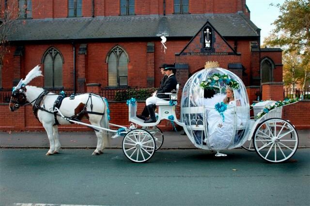 my big fat gypsy wedding