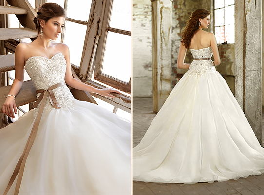 happines, love and wedding gown