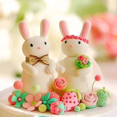 bunny, pretty, love and cake