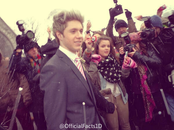 irish, my boy and lovehim