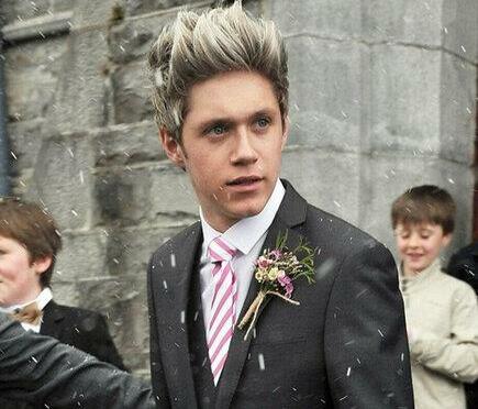 1d, ireland and niall