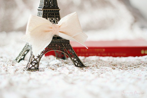 love, bridal shower and french favors