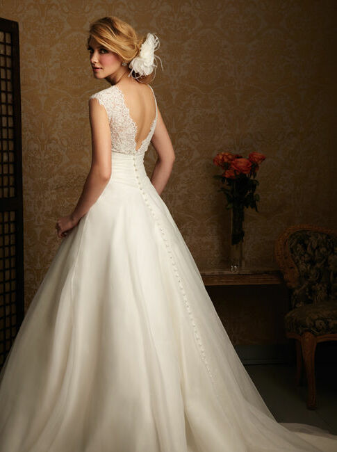 dress, silky, older and long