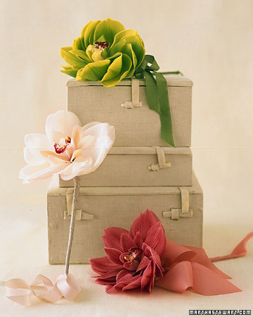 baby shower, tropical and color