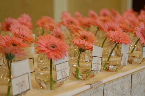 spring, wedding favors and pink