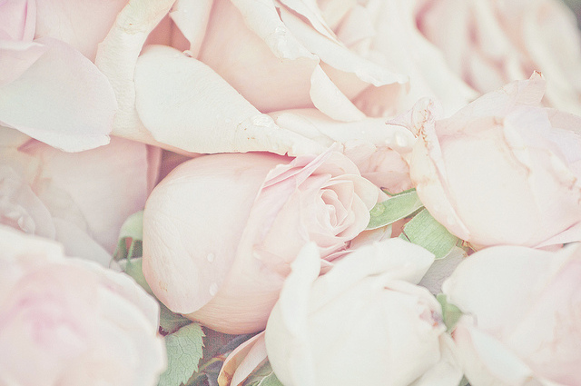 spring, all rights reserved and dreamy