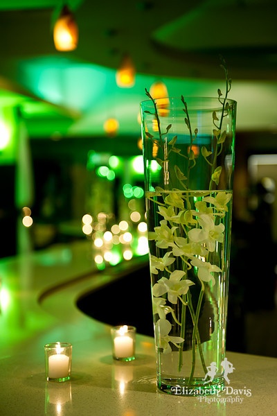 cocktail, alcohol and reception