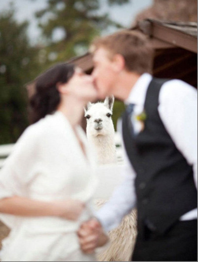 dress, white and kiss