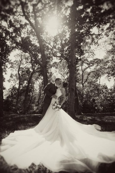 kiss, tree and love