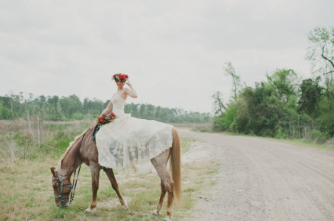 horse, dress and marriage