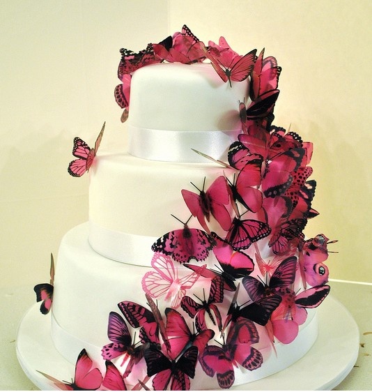 gateau, papillon, papillon mariage and butterfly