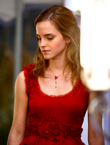 harry potter, emma watson and bill & fleur