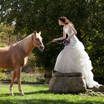 bride, riding and horse