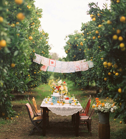asummerpicnicwedding, orchard and romance
