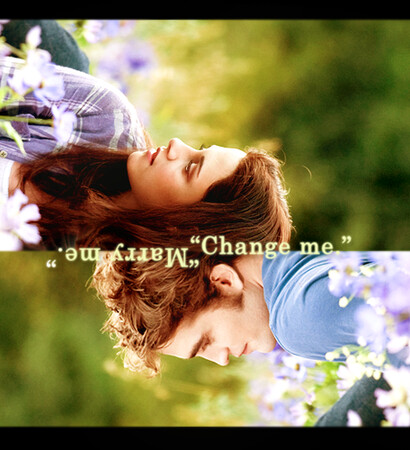 love, vampire and twilight saga