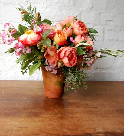 flowres, beauty and wild roses