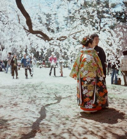 japan, couple and kimono