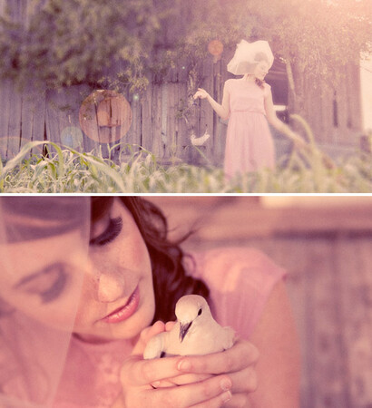 duck, pink and vintage