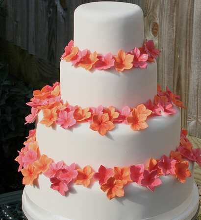blossom, pink and orange