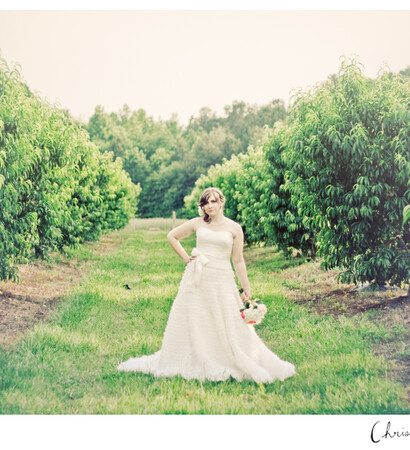 orchard, wedding photographer and vintage