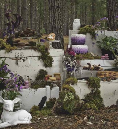 wood, deer and forrest
