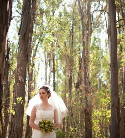 trees, dress and white