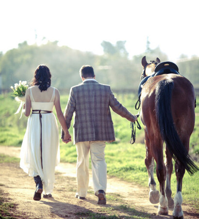 animals, horse and couple