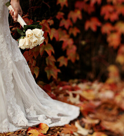 autumn, photography and flowers