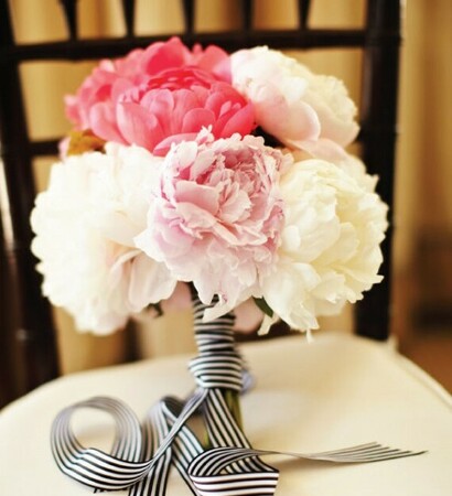 peonies, flowers and peony