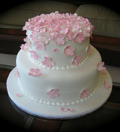 cake, cherry and lemon