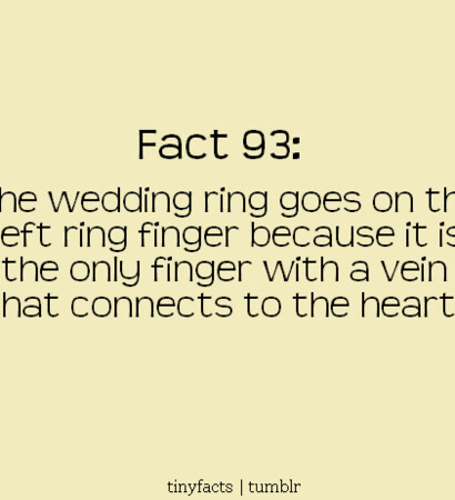 facts, ring and fact