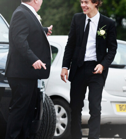 robin twist, 1d and Harry Styles