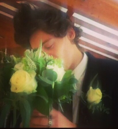 one direction, Harry Styles and anne's wedding