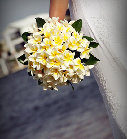 white, yellow and cute