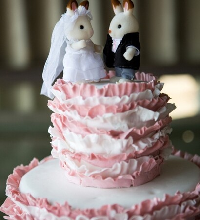 love, sylvanian and cake