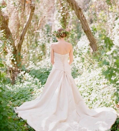enchanting, beauty and forest