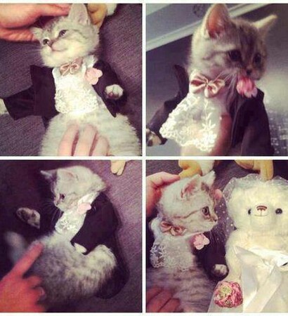 :), love and cute